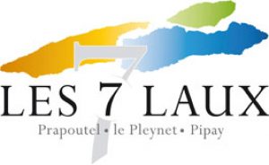 7LAUX-3 7LAUX-3